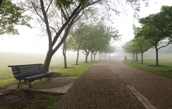 Fog, Trees, Bench, Dump, Jogging Track