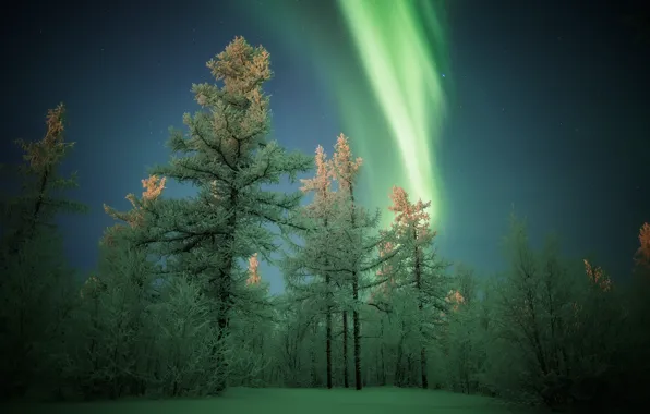 Frost, the sky, snow, night, Winter, Northern lights