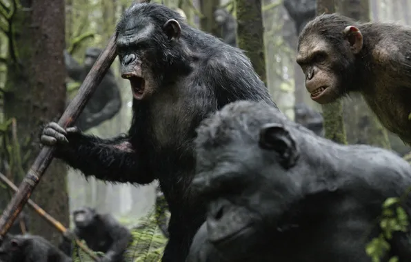 War, monkey, Revolution, Dawn of the Planet of the Apes, Planet of the apes, Caesar