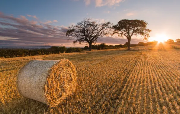 Sunrise, Scotland, straw, Balerno Harvest