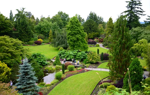 Picture greens, trees, flowers, pond, Park, lawn, garden, Canada