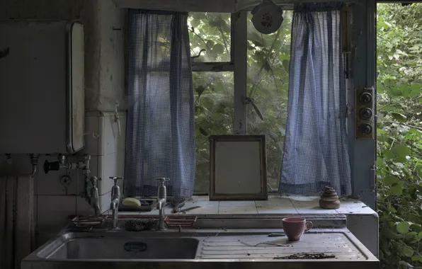 Web, window, sink, naturalism, R E S E N T M E N T
