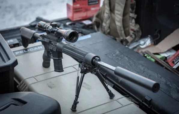 Optics, muffler, sniper rifle