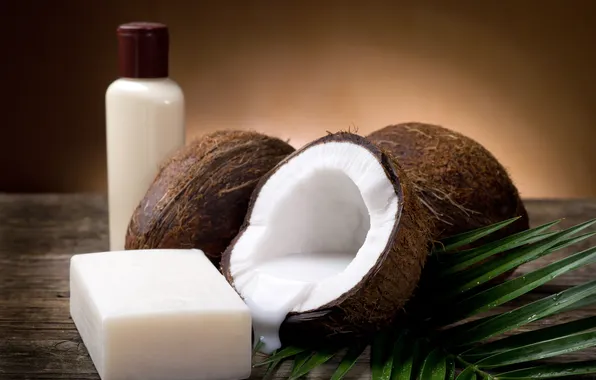 Picture table, coconut, branch, soap, the flesh, milk, bubble