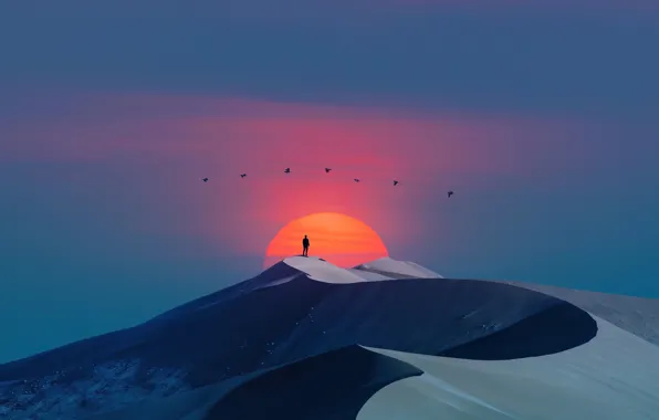 Clear sky, desert, birds, sun, men, digital art, artwork, dunes