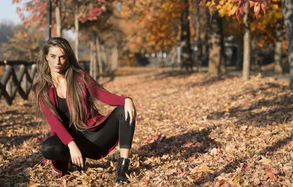 Leaves, nature, face, model, hair, beauty, Federica