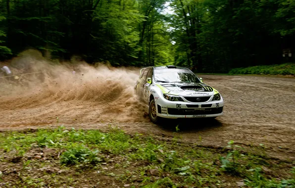 Picture forest, speed, skid, race, subaru
