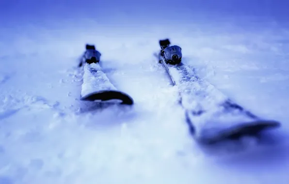 Winter, snow, ski