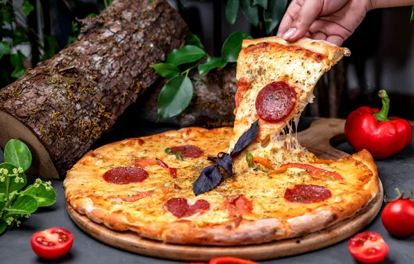 Cheese, pepper, pizza, sausage, log, piece
