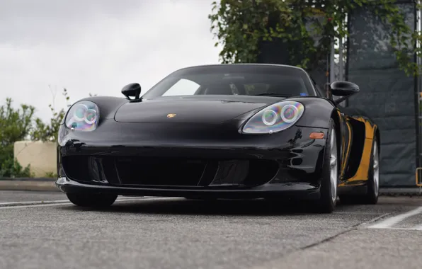 Picture Porsche, Black, Carrera
