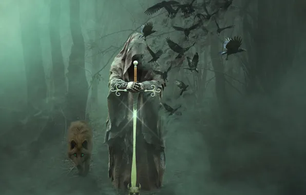 Picture forest, trees, birds, fog, death, wolf, sword, vestments