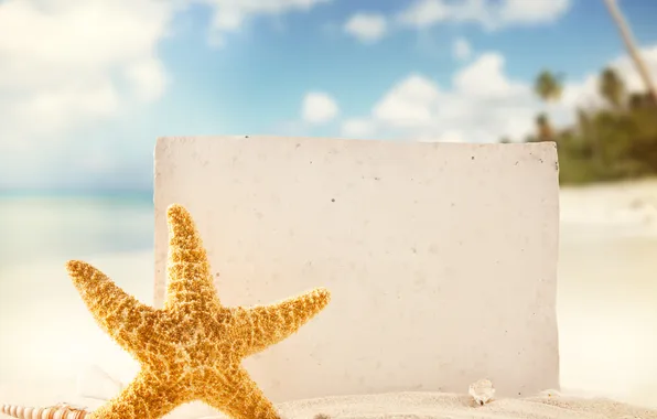 Sand, sea, beach, tropics, shell, starfish