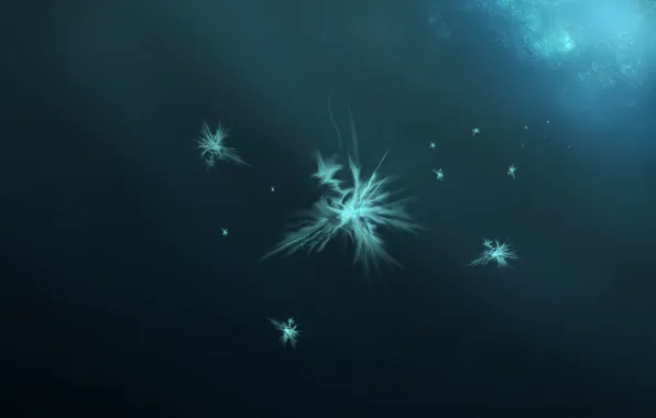 Snowflakes, Galeor, grit