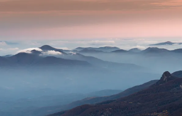 Forest, clouds, mountains, fog