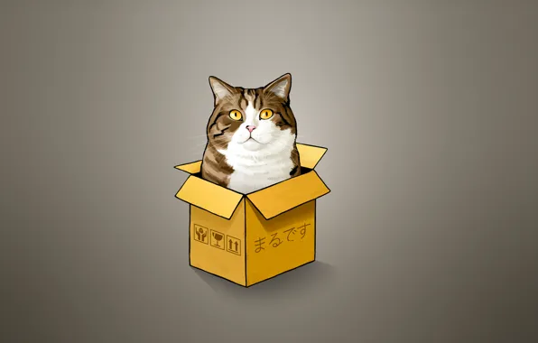 Picture cat, cat, box, minimalism, cat, Peeps