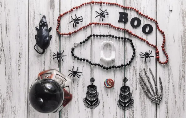 Holiday, the inscription, spider, skeleton, Halloween, mouse