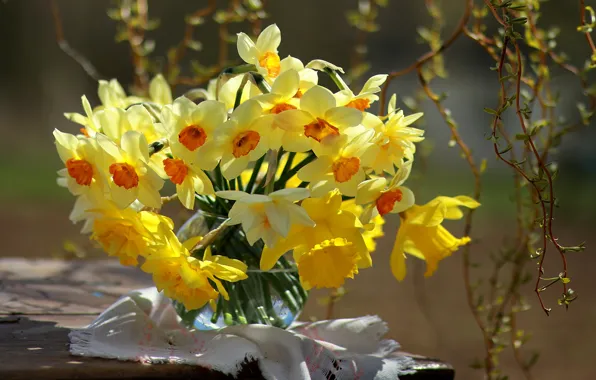 Picture flowers, branches, spring, vase, napkin, daffodils