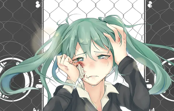 Face, resentment, hands, vocaloid, Hatsune Miku, Vocaloid, tears, blue hair