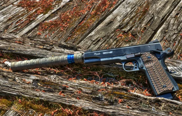 Gun, background, muffler