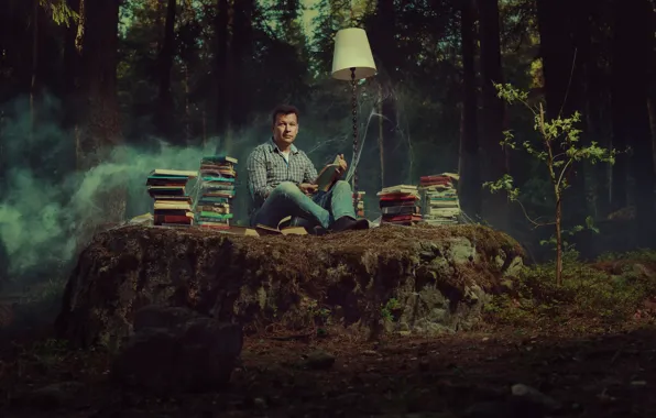 Forest, books, lamp, web, reading, bibliophile