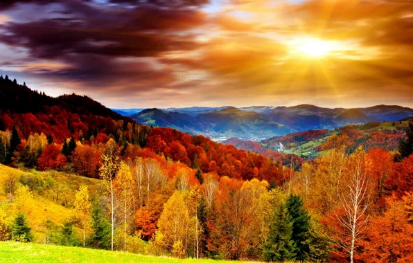 Picture landscape, nature, autumn