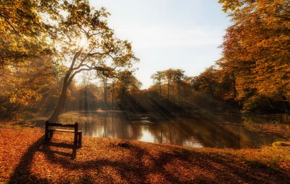 Autumn, lake, bench