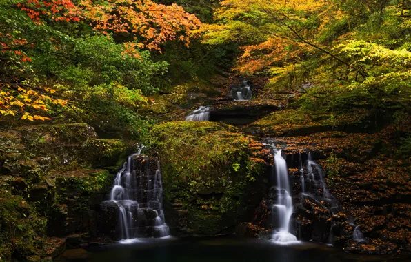 Picture autumn, forest, leaves, branches, foliage, bright, waterfall
