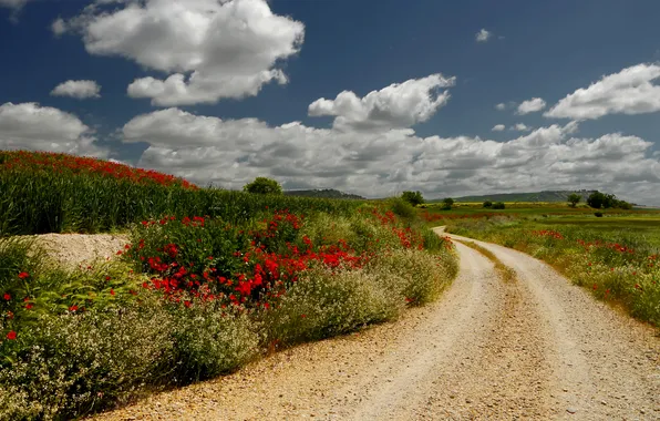 Picture road, the sky, clouds, trees, flowers, hills, plants
