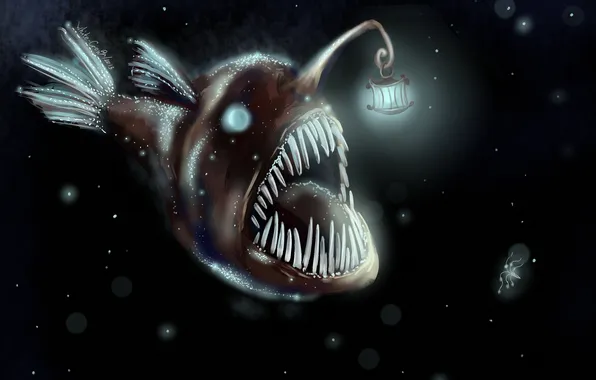 Picture monster, fish, lantern, black background