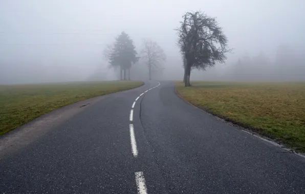Road, landscape, fog