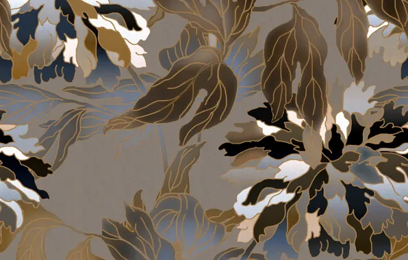 White, flowers, grey, background, brown