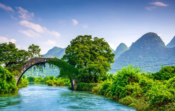 Greens, forest, trees, mountains, bridge, river, beauty, China