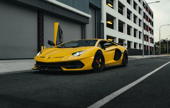 Picture Lamborghini, Yellow, Aventador, VAG, Sight