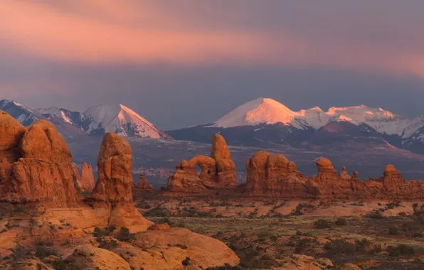 Picture mountains, hills, bushes