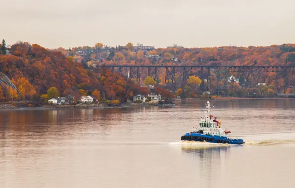 Picture river, bridge, autumn, railway, autumn colors, cloudy, tugboat