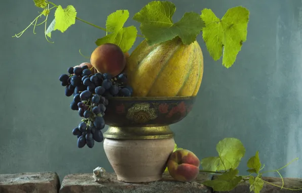 Shell, grapes, peach, melon