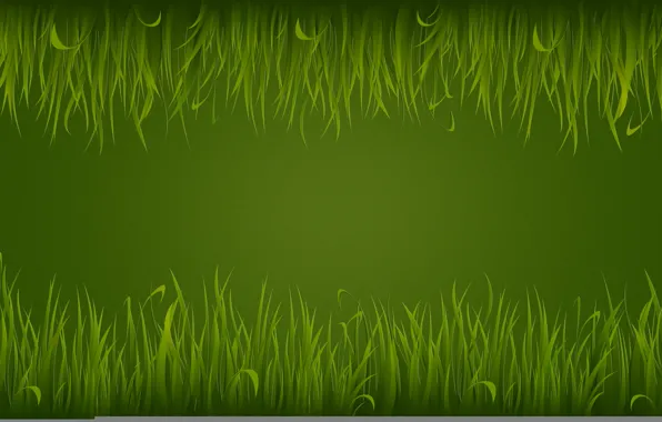 Picture grass, green, green, light, texture