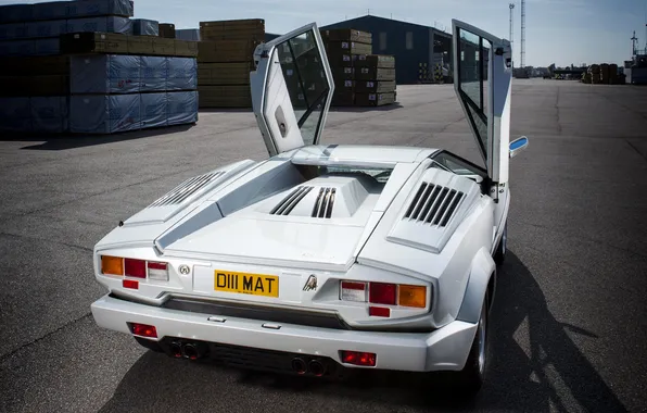 Picture white, Lamborghini, supercar, Countach, back, 1988, 25 Anniversary
