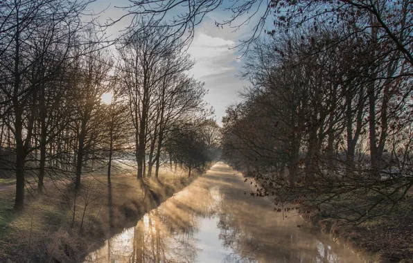 Autumn, branches, fog, foliage, channel, pond, Bank