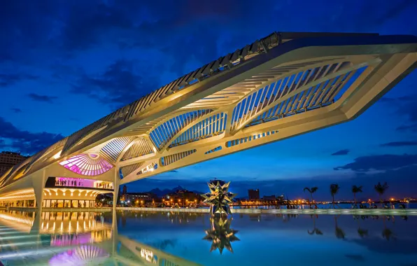 Night, lights, Brazil, Rio de Janeiro, The Museum Of Tomorrow