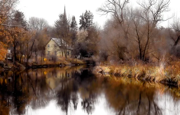 Forest, the sky, trees, lake, pond, home