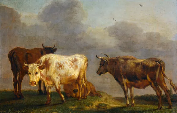 Animals, tree, oil, picture, Paulus Potter, Four Cows in a Meadow