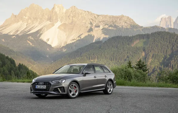 Auto, forest, mountains, Audi, TDI, Before