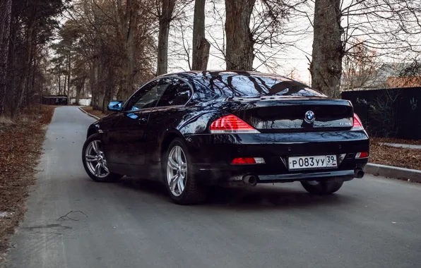 BMW, E63, BMW6
