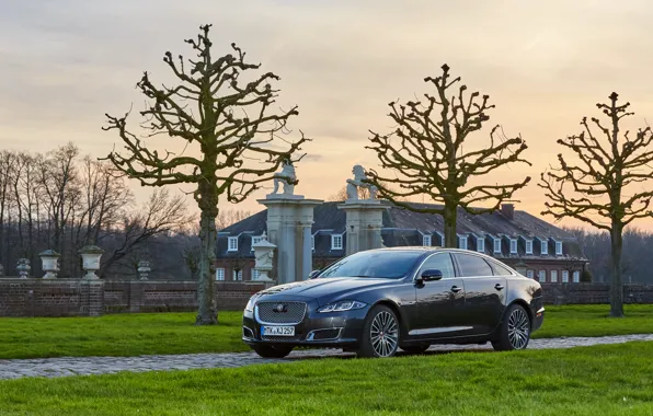 Trees, lawn, England, Jaguar, home