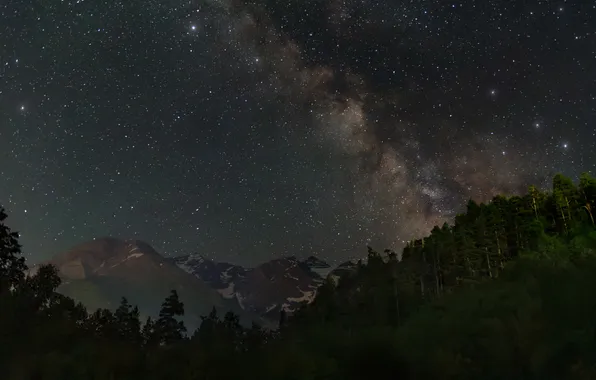 Stars, trees, night, beauty, Elbrus, Kudashkina Ksenia