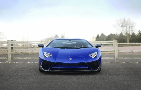 Picture lamborghini, blue, front, view, aventador, 750-4, lp, sv