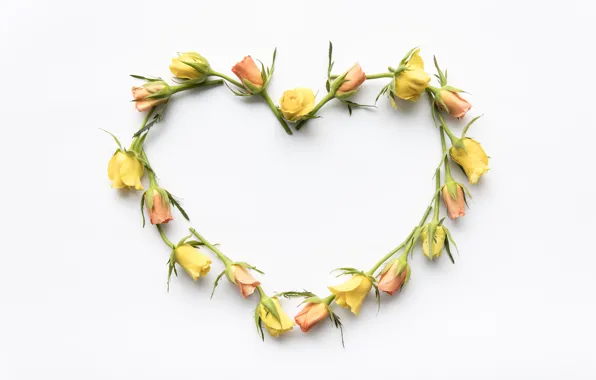 Love, flowers, heart, roses, yellow, love, buds, heart