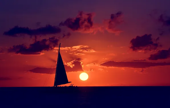 Picture sea, the sky, the sun, sunset, clouds, nature, mood, sailboat
