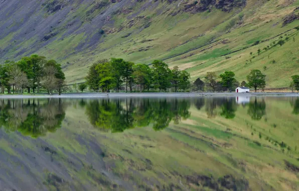Picture water, trees, mountains, lake, home